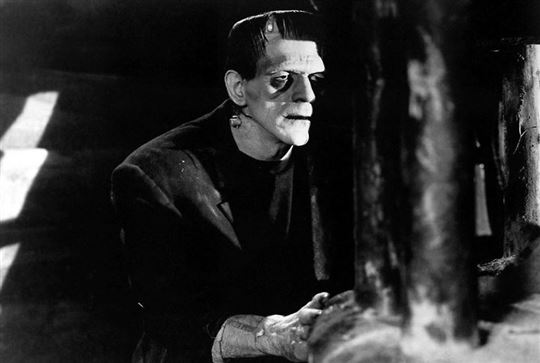 Boris Karloff as Frankenstein's monster. Photo / Flickr