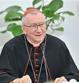 Cardinal Pietro Parolin (Ansa/Alessandro Di Meo)