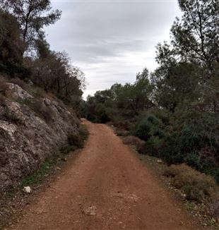 Road on Mount Tabor