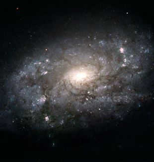 The Milky Way. NASA/ESA/Hubble Heritage Team 
