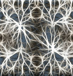 Neurons. Creative CC0 Creative Commons