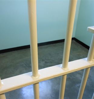 Prison Bars. Wikimedia Commons