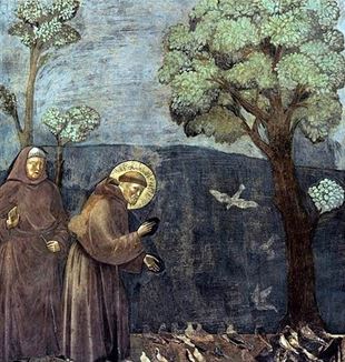 Scenes from the life of Saint Francis, Sermon to the Birds by Giotto