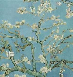 "Almond Blossoms" by Vincent Van Gogh. Via Wikimedia Commons