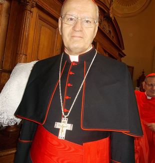 Cardinal Péter Erdö. Wikimedia Commons