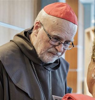 Cardinal Anders Arborelius