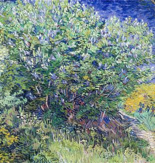 Vincent van Gogh, "Lilac Bush", Hermitage Museum, Saint Petersburg